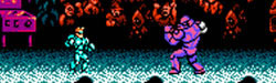 The Black Sheep: Street Fighter 2010 (NES)