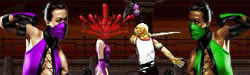 Finish Him - Stars of Mortal Kombat II