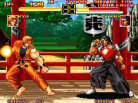 Art of Fighting