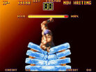 Art of Fighting