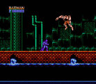 Batman: The Video Game