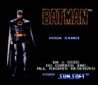 Batman: The Video Game