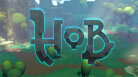 Hob