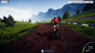 Descenders