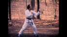 The Making of Karateka