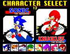 Sonic the Fighters