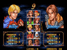 Double Dragon