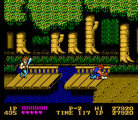 Double Dragon