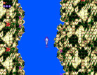 Ecco the Dolphin