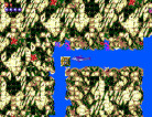 Ecco the Dolphin