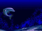 Ecco the Dolphin