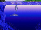 Ecco the Dolphin