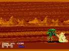 Fighting Masters