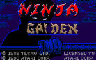 Ninja Gaiden