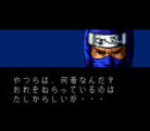 Ninja Gaiden