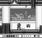 Ninja Gaiden Shadow