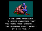 Ninja Gaiden