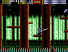 Ninja Gaiden