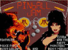 Pinball Jam