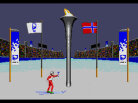 Winter Olympic Games: Lillehammer 94