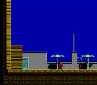 Hudson Hawk