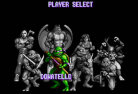 Teenage Mutant Ninja Turtles: Tournament Fighters