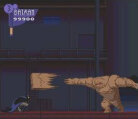 The Adventures of Batman & Robin