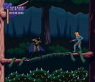 The Adventures of Batman & Robin