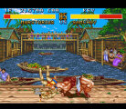 Fighter's History