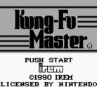 Kung Fu Master