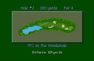 PGA Tour Golf III