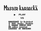 Master Karateka