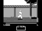 Master Karateka