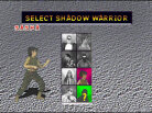 Shadow: War of Succession