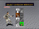 Shadow: War of Succession