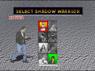 Shadow: War of Succession