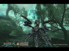 The Elder Scrolls IV: Shivering Isles