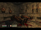 The Elder Scrolls IV: Shivering Isles