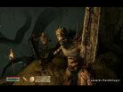 The Elder Scrolls IV: Shivering Isles