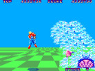 Space Harrier