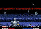 Terminator 2: The Arcade Game