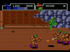 Teenage Mutant Ninja Turtles: The Hyperstone Heist