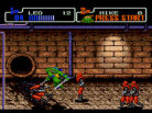 Teenage Mutant Ninja Turtles: The Hyperstone Heist