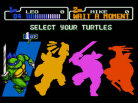 Teenage Mutant Ninja Turtles: The Hyperstone Heist