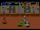 Teenage Mutant Ninja Turtles: The Hyperstone Heist