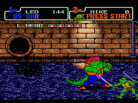 Teenage Mutant Ninja Turtles: The Hyperstone Heist