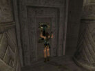 Tomb Raider: Anniversary