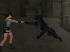 Tomb Raider: Anniversary