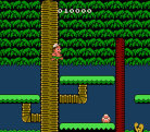 Adventure Island II