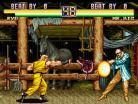 Art of Fighting 2